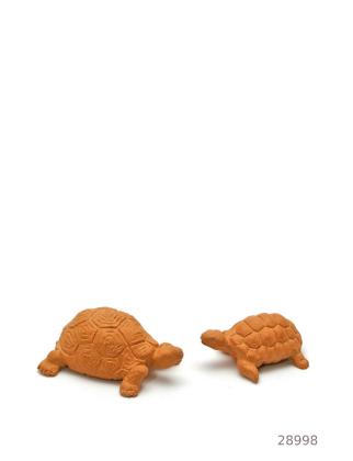 Turtle Pair