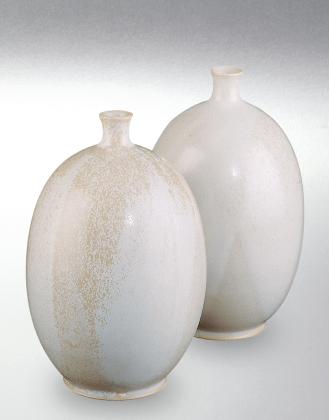 Glaze Porcelain White