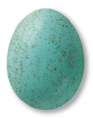 Glaze Speckled Turquoise